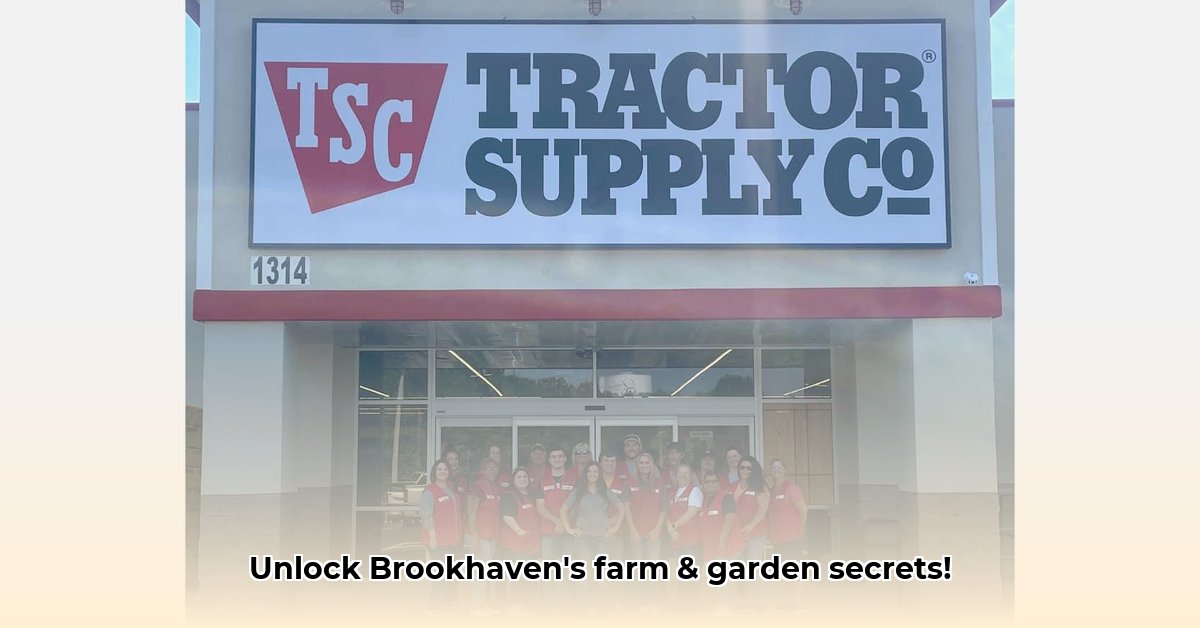 tractor-supply-brookhaven